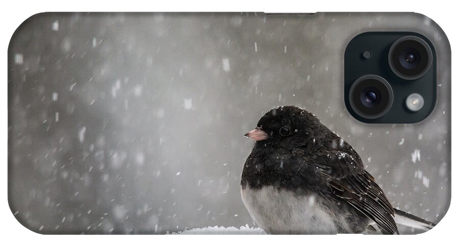 Black And White iPhone Case featuring the photograph Snow Junco #1 by Cheryl Baxter