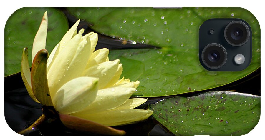 Water Lily iPhone Case featuring the photograph Sparkle #1 by Living Color Photography Lorraine Lynch