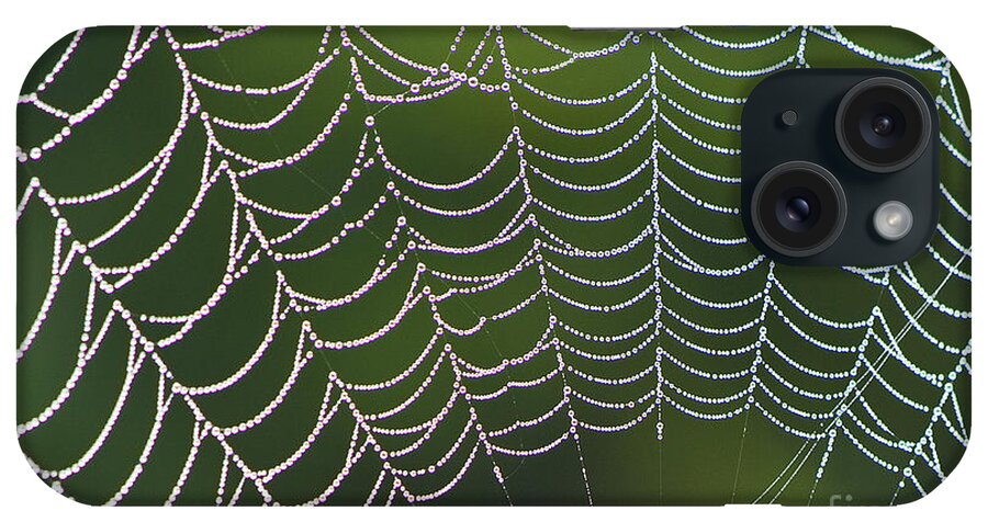 Spiderweb iPhone Case featuring the photograph Spider Web #2 by Heiko Koehrer-Wagner