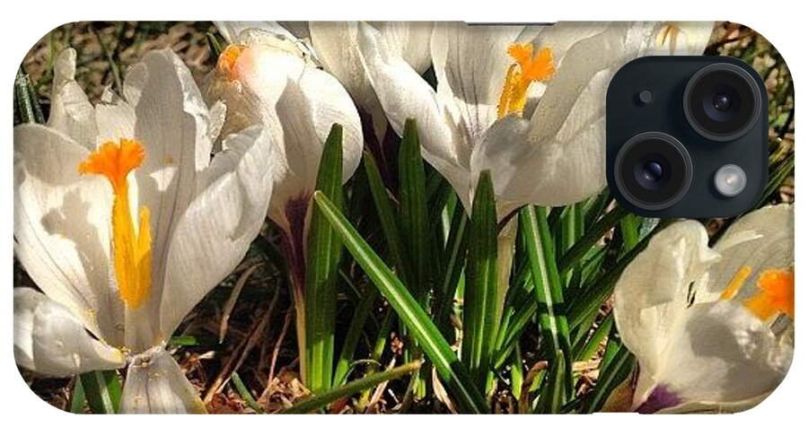 Spring iPhone Case featuring the photograph Spring #flowers #spring #green #1 by Marina Boitmane