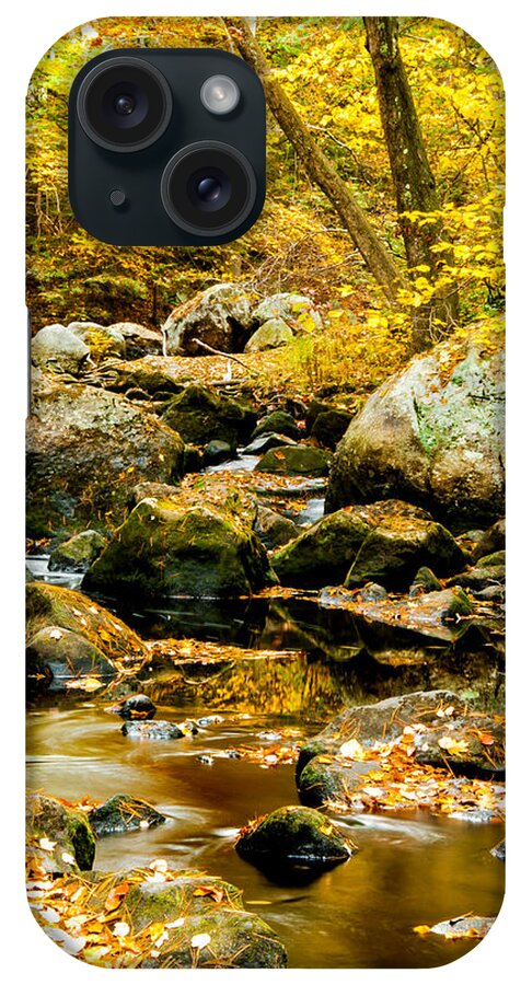 Fall iPhone Case featuring the photograph Stillness and Motion #1 by Greg Fortier