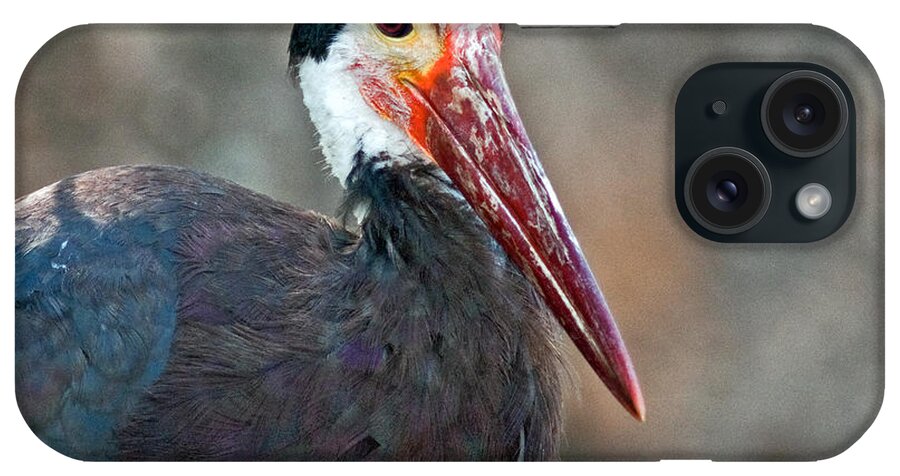 Storm's Stork iPhone Case featuring the photograph Storm's Stork #2 by Winston D Munnings