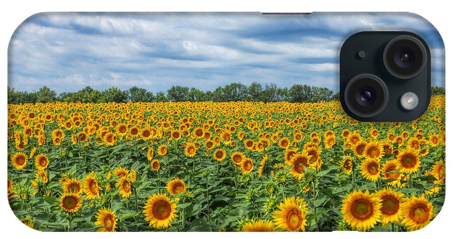 Sunflower iPhone Case featuring the photograph Sunflower Field #1 by Alan Hutchins