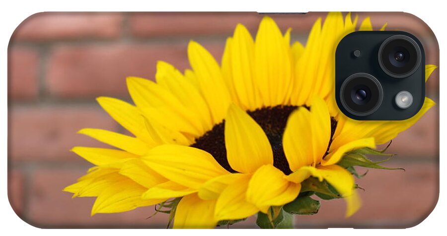 Nature iPhone Case featuring the photograph Sunflower #1 by Henrik Lehnerer