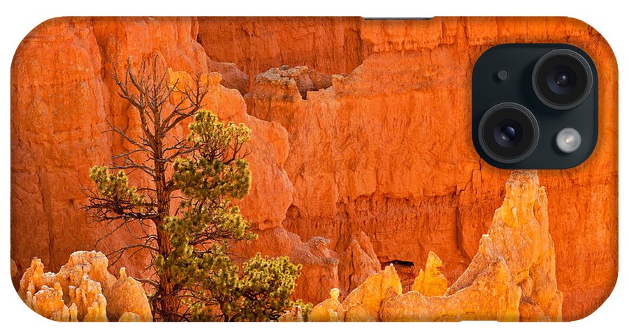 Bryce Canyon iPhone Case featuring the photograph Sunset Point Bryce Canyon National Park #1 by Fred Stearns