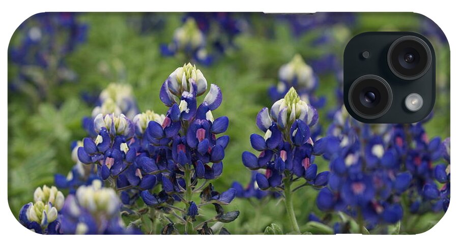 Wildflowers iPhone Case featuring the photograph Texas Bluebonnets #1 by Terry Burgess