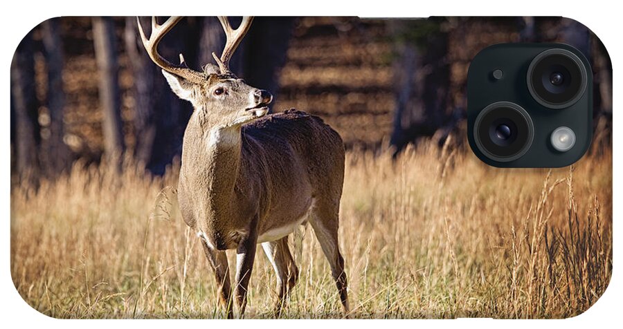 Digital Photography iPhone Case featuring the photograph The Buck #2 by Laurinda Bowling