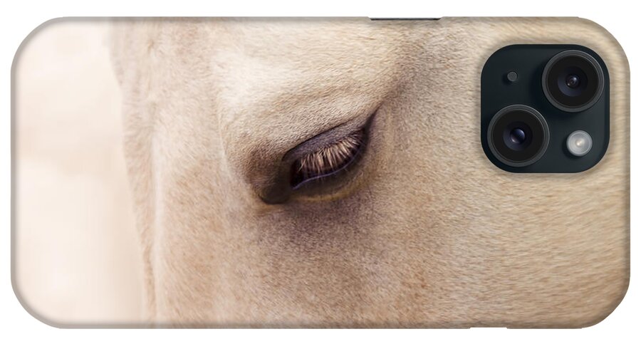 Horses iPhone Case featuring the photograph The Guardian Of My Heart #2 by Sharon Mau