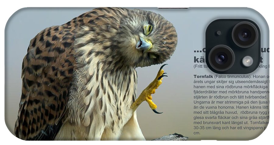 The Monday Morning Kestrel... iPhone Case featuring the photograph The Monday morning Kestrel... #1 by Torbjorn Swenelius