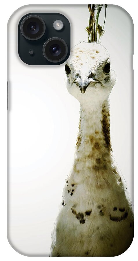 Peacock iPhone Case featuring the photograph The Snow Queen #2 by Natasha Marco
