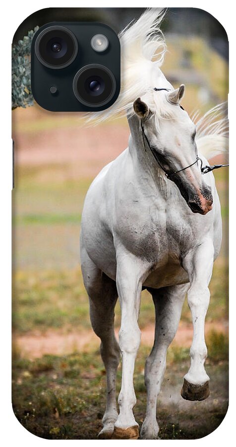 Silverwind Van Nina iPhone Case featuring the photograph The White Stallion #1 by Janice OConnor