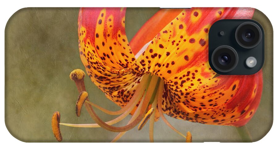 Lily iPhone Case featuring the photograph Tiger Lily #1 by Angie Vogel