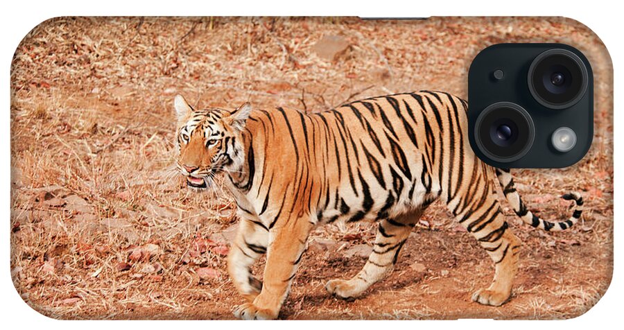 Alertness iPhone Case featuring the photograph Tigress #1 by Ajay K Shah