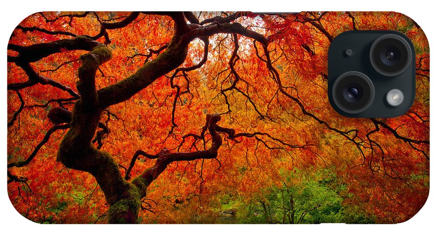 Autumn iPhone Case featuring the photograph Tree Fire by Darren White