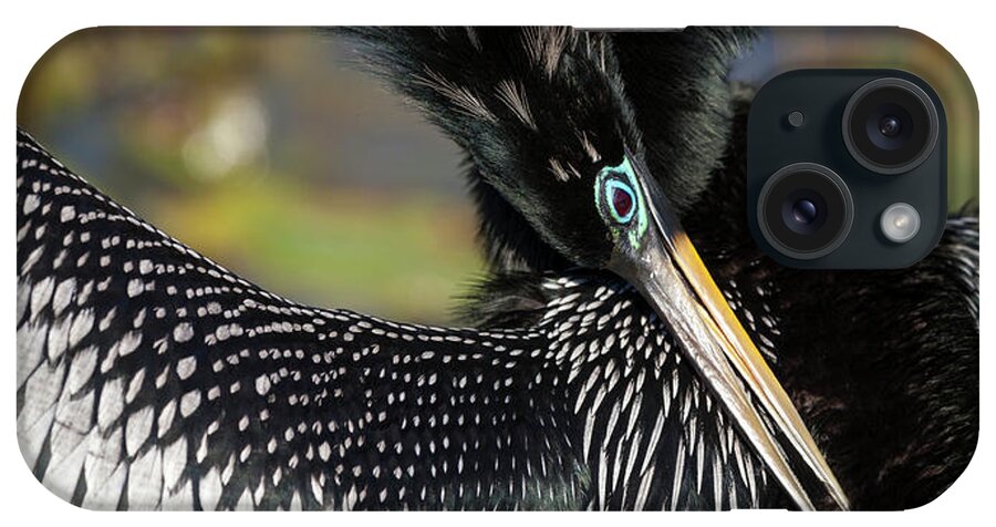 Animal iPhone Case featuring the photograph USA, Florida, Everglades National Park #1 by Jaynes Gallery