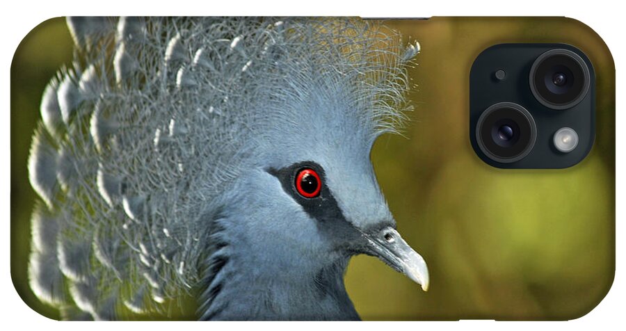 Victoria Crowned Pigeon iPhone Case featuring the photograph Victoria Crowned Pigeon #2 by Winston D Munnings