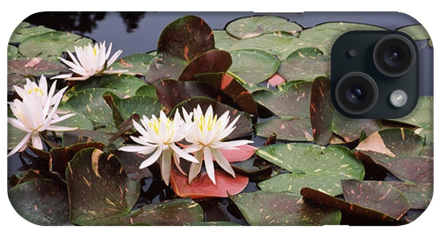 Photography iPhone Case featuring the photograph Water Lilies In A Pond, Sunken Garden #1 by Panoramic Images