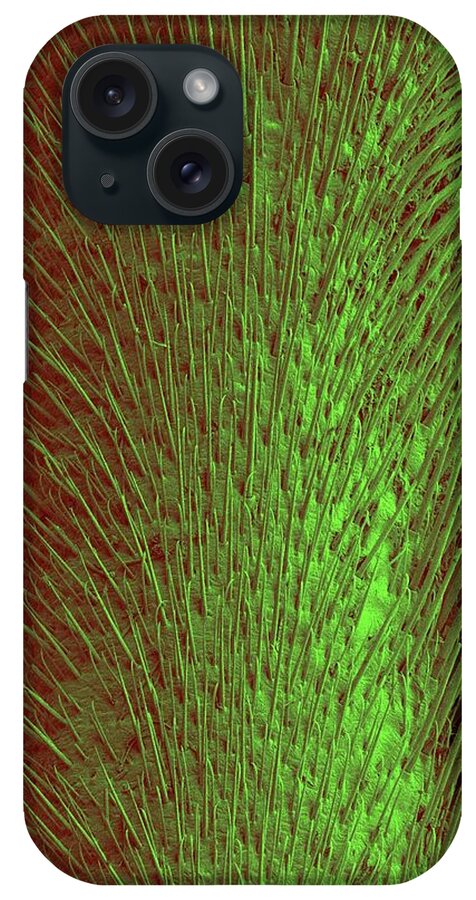 210459d iPhone Case featuring the photograph Water Strider Leg #1 by Dennis Kunkel Microscopy/science Photo Library