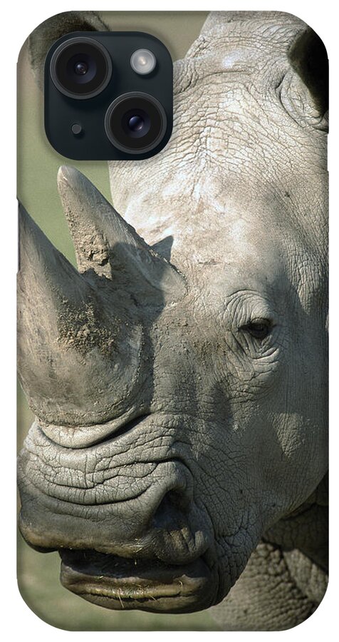 Feb0514 iPhone Case featuring the photograph White Rhinoceros Portrait #1 by San Diego Zoo