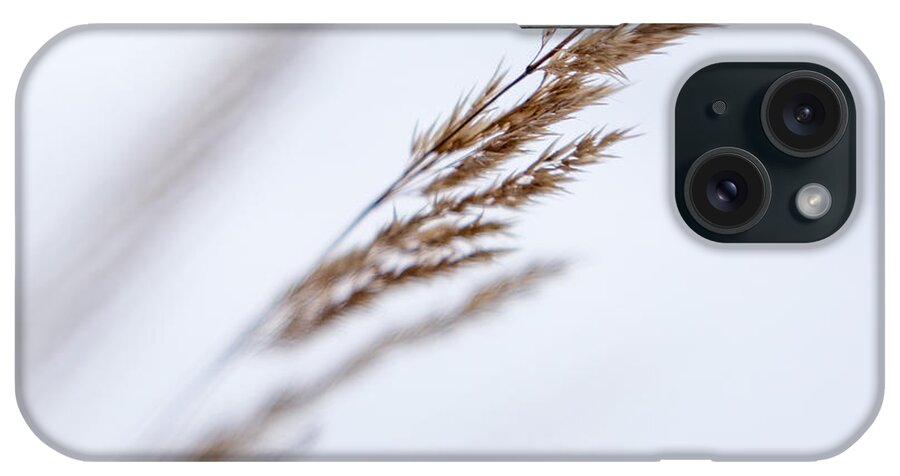 Grass iPhone Case featuring the photograph Winter grass 1 by Mary Underwood