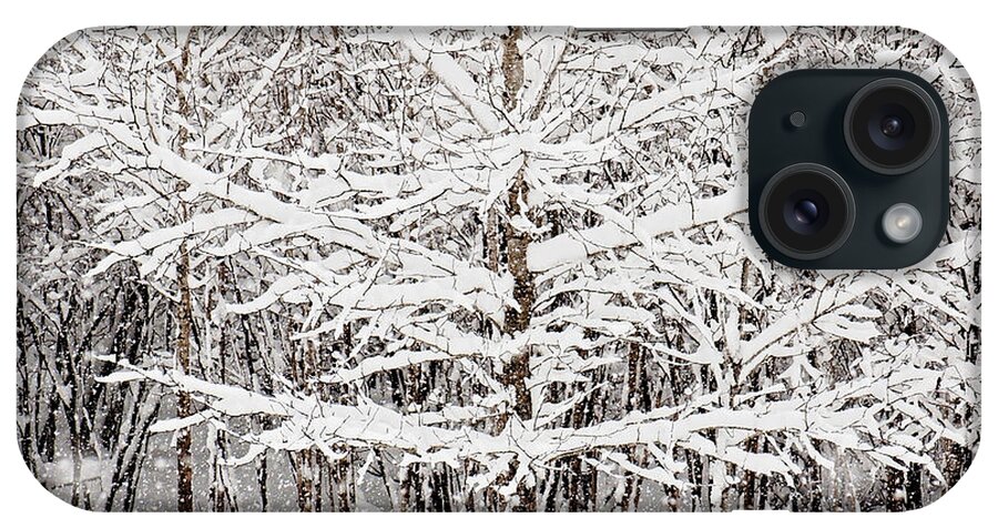 Winter Store Print iPhone Case featuring the photograph Winter Storm Print #1 by Gwen Gibson