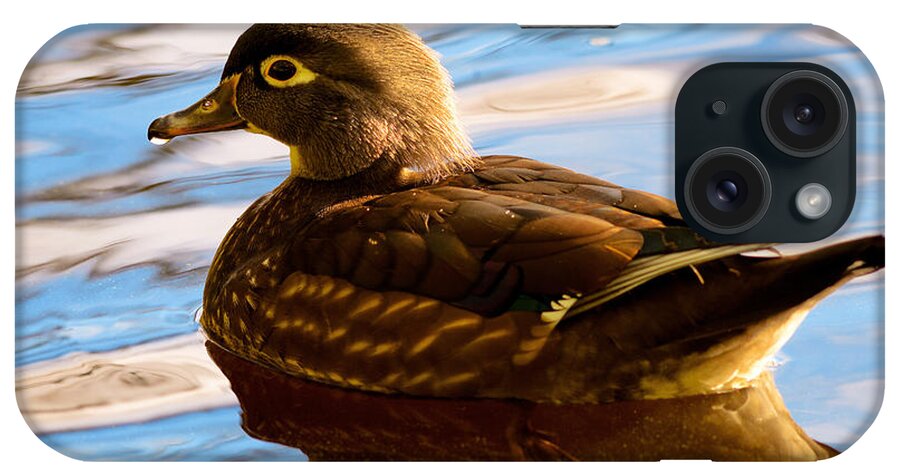 Terry Elniski Photography iPhone Case featuring the photograph Wood Duck On Lost Lagoon #1 by Terry Elniski