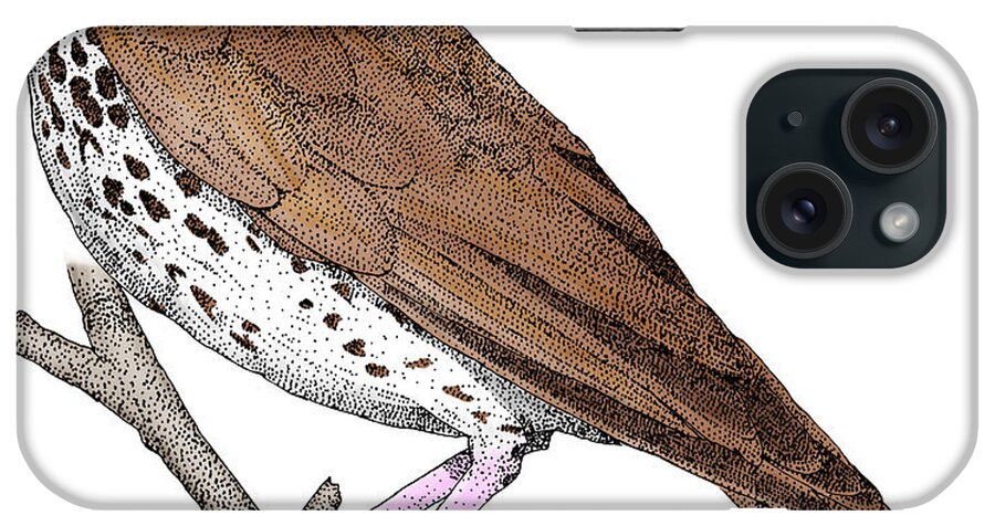Animal iPhone Case featuring the photograph Wood Thrush #1 by Roger Hall