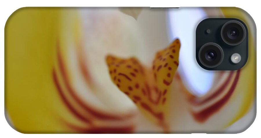 Yellow iPhone Case featuring the photograph Yellow Orchid by Sue Morris