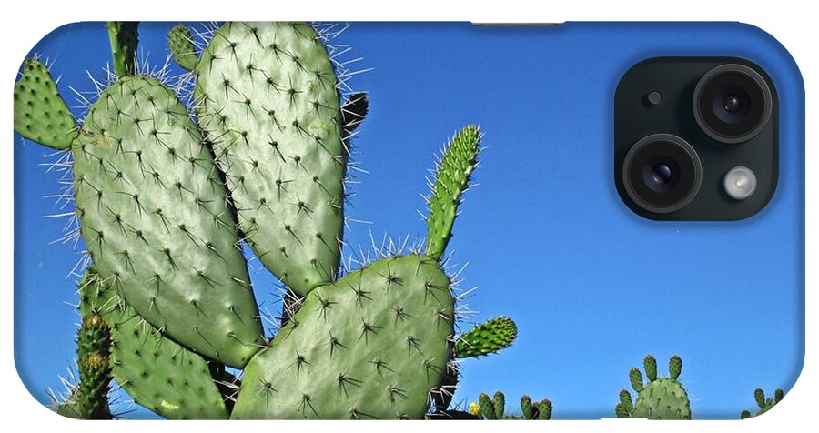 Cactus iPhone Case featuring the photograph Cacti #1 by Chani Demuijlder