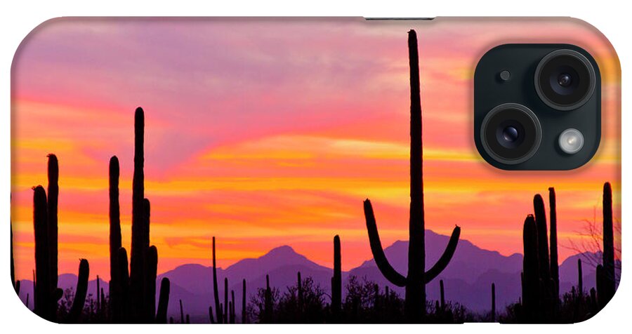 Arizona iPhone Case featuring the photograph USA, Arizona, Saguaro National Park #10 by Jaynes Gallery
