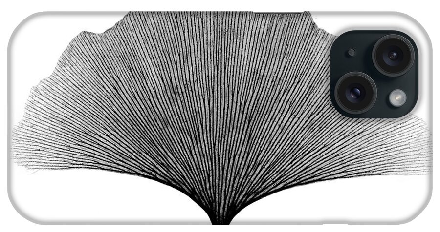 Radiograph iPhone Case featuring the photograph X-ray Of Ginkgo Leaf #10 by Bert Myers