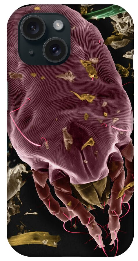 Dust iPhone Case featuring the photograph Dust Mite #11 by Dennis Kunkel Microscopy/science Photo Library