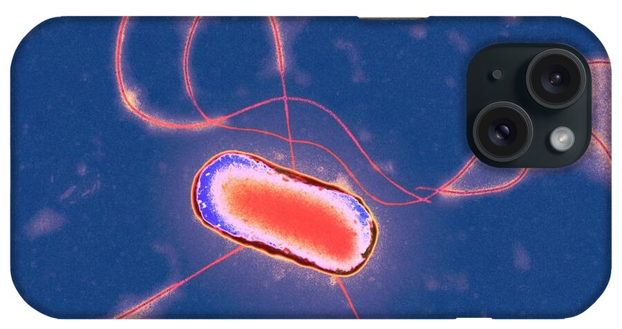 Escherichia Coli iPhone Case featuring the photograph E. Coli Bacterium #12 by Centre For Infections/public Health England/science Photo Library