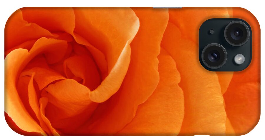 Background iPhone Case featuring the photograph Roses #13 by Peter Lakomy