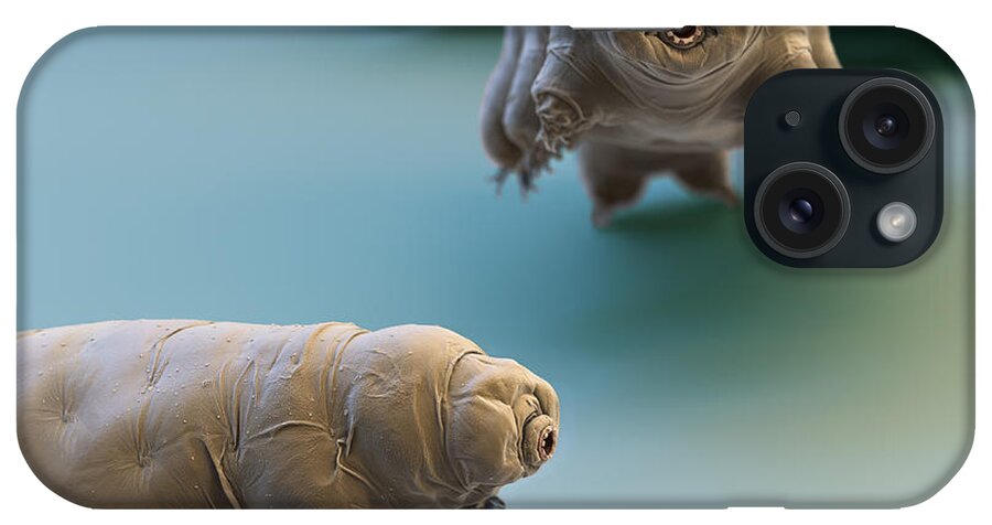 Paramacrobiotus Fairbanki iPhone Case featuring the photograph Water Bear #13 by Eye of Science and Science Source