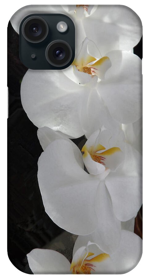 Beauty iPhone Case featuring the photograph Orchids #14 by Xueyin Chen