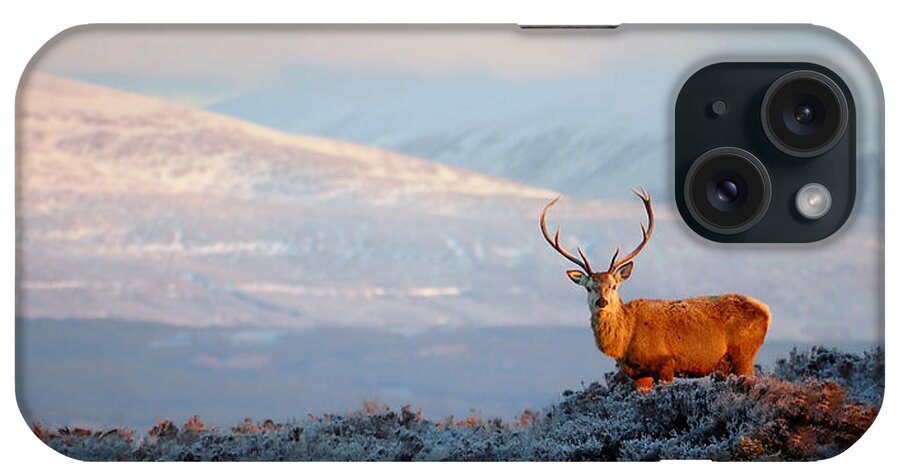 Red Deer Stag iPhone Case featuring the photograph Red deer stag #16 by Gavin Macrae