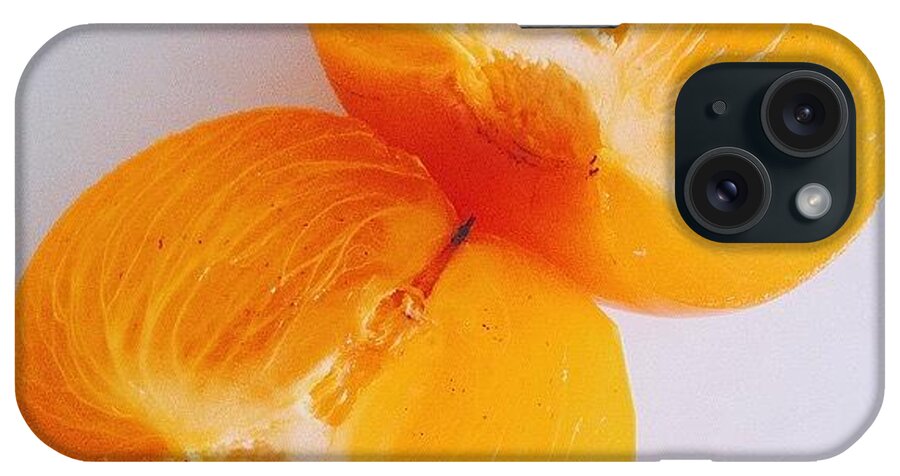 саратов iPhone Case featuring the photograph Flight of persimmon by Artem Korenuk
