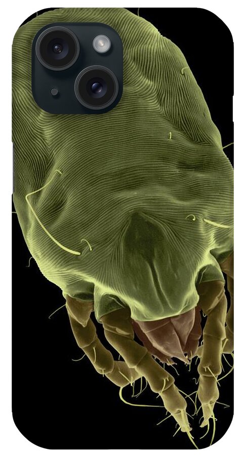 Dust iPhone Case featuring the photograph Dust Mite #19 by Dennis Kunkel Microscopy/science Photo Library