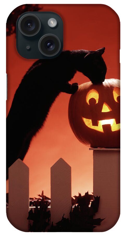 Photography iPhone Case featuring the photograph 1980s Jack-o-lantern & Black Cat by Vintage Images