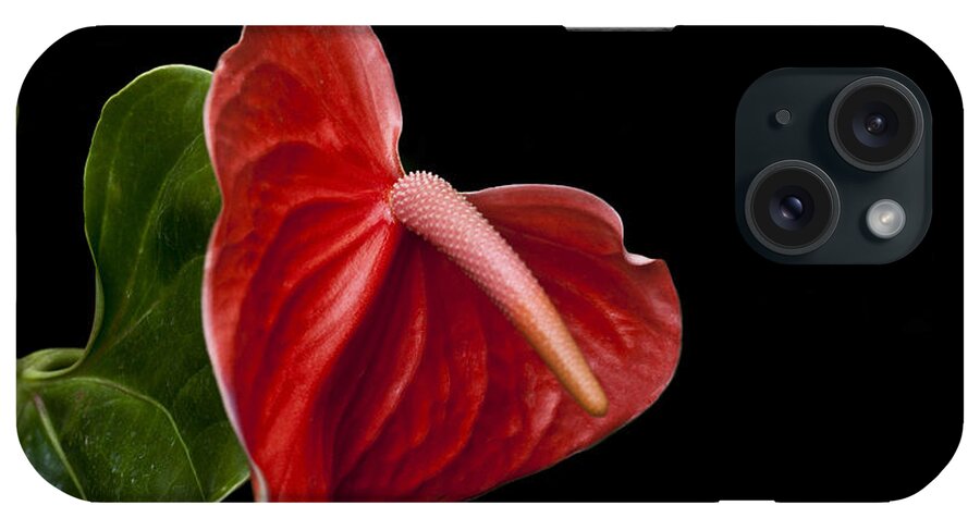 Anthurium iPhone Case featuring the photograph Anthem by Doug Norkum
