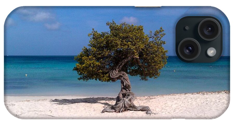 Aruba iPhone Case featuring the photograph Aruba Divi Divi Tree #2 by Curtis Krusie