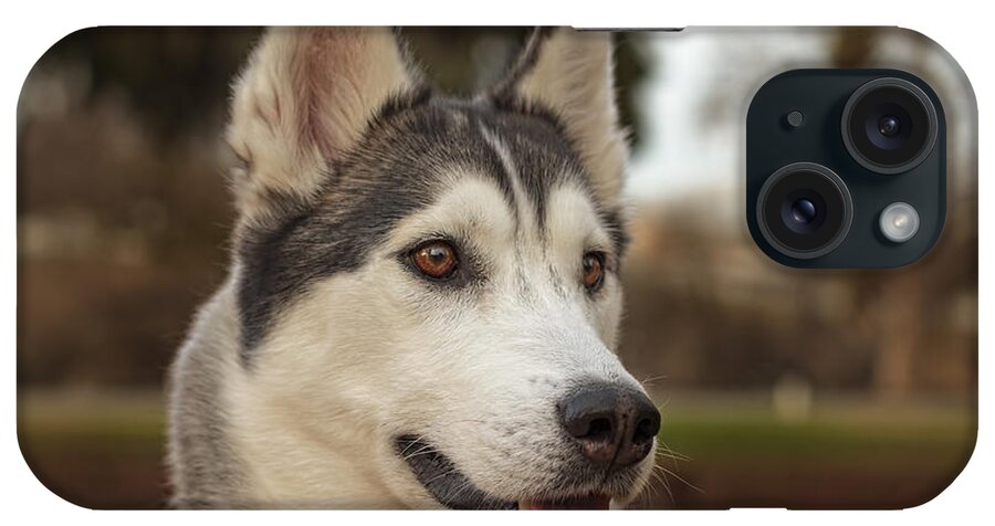Animal iPhone Case featuring the photograph Aurora #2 by Brian Cross