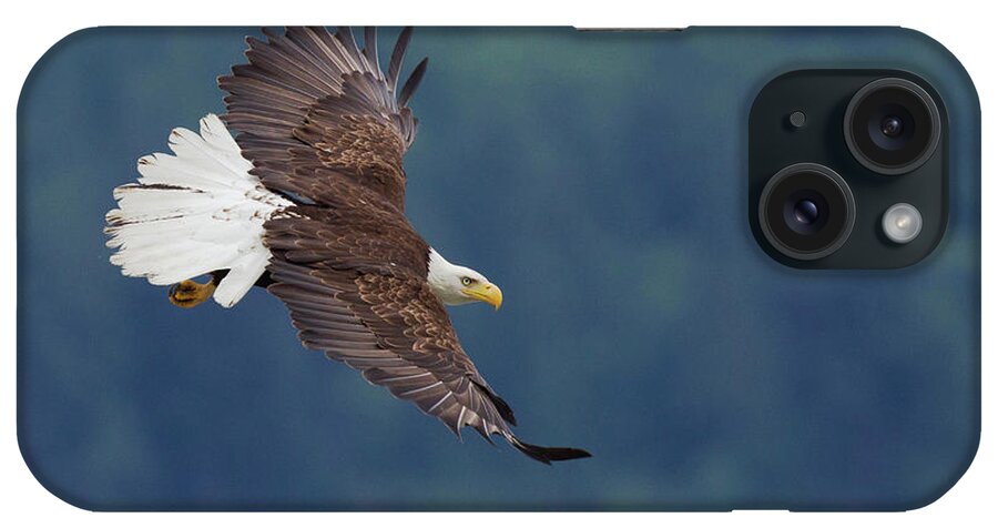 Bald Eagle iPhone Case featuring the photograph Bald Eagle In Flight #2 by Ken Archer