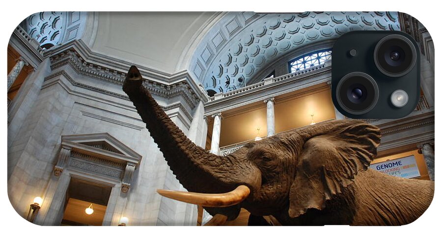 Bull Elephant iPhone Case featuring the photograph Bull Elephant in Natural History Rotunda #2 by Kenny Glover