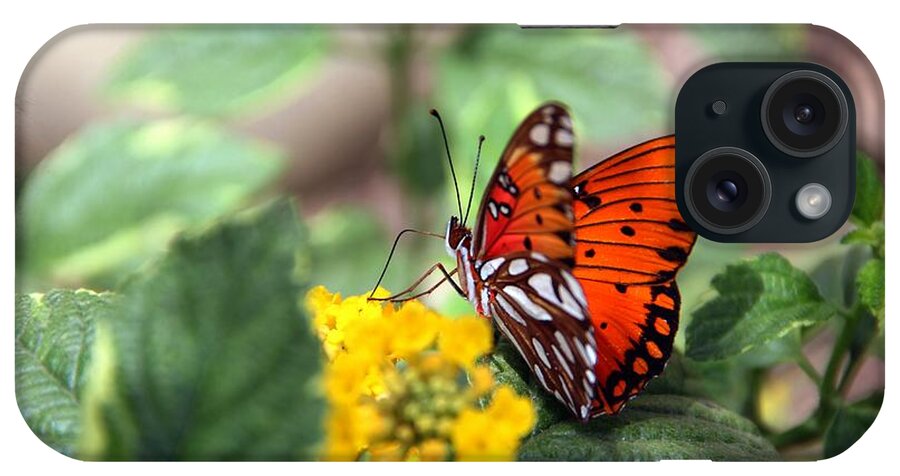 Butterfly iPhone Case featuring the photograph Butterfly #2 by Jim McCullaugh