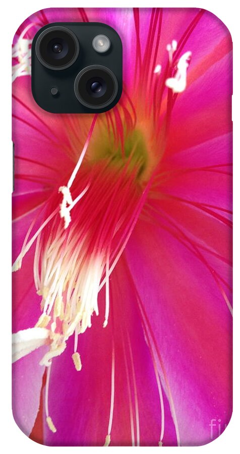 Cactus Flower iPhone Case featuring the photograph Cactus Flower #2 by Jacklyn Duryea Fraizer