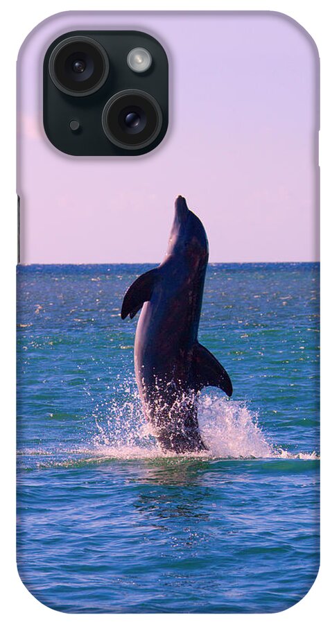 Animal iPhone Case featuring the photograph Dolphin Leaping From Sea, Roatan #2 by Keren Su