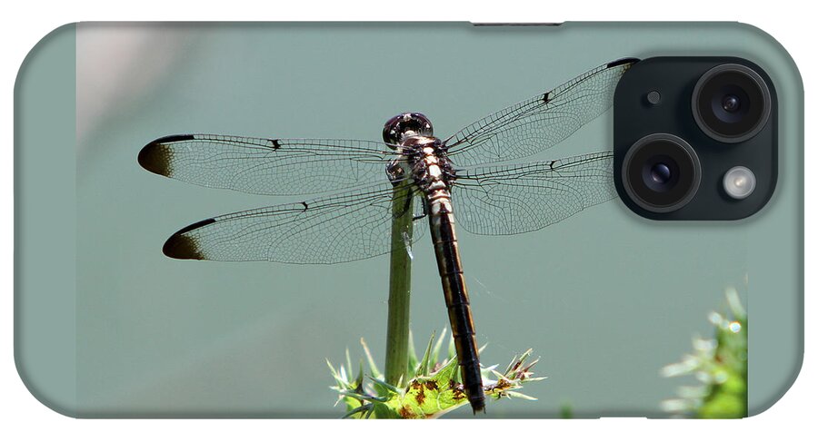 Nature iPhone Case featuring the photograph Dragonfly #4 by John Freidenberg