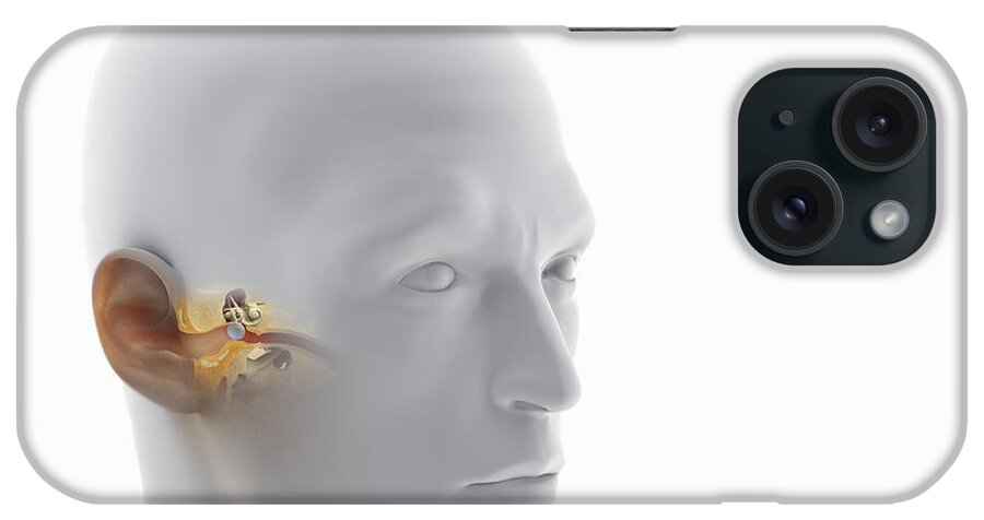 Transparent Skin iPhone Case featuring the photograph Ear Anatomy #9 by Science Picture Co